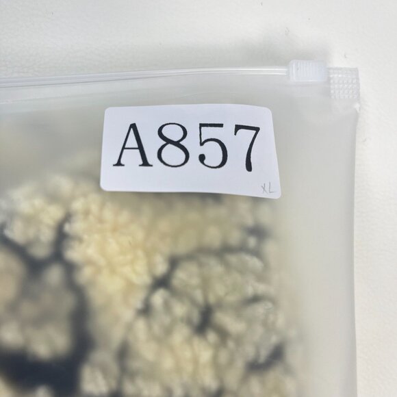 NWOT Farm Rio Midnight Leo Long Cardigan Wool Blend Coat Size XL Black Cream - Picture 14 of 14